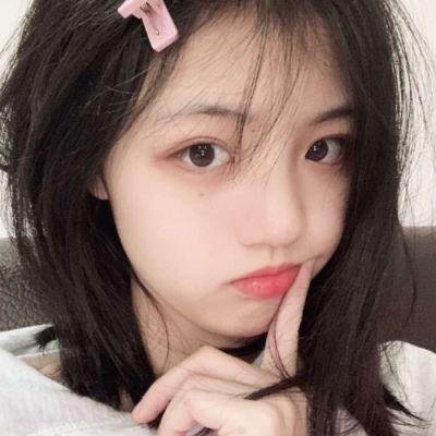 小猫熊历险记