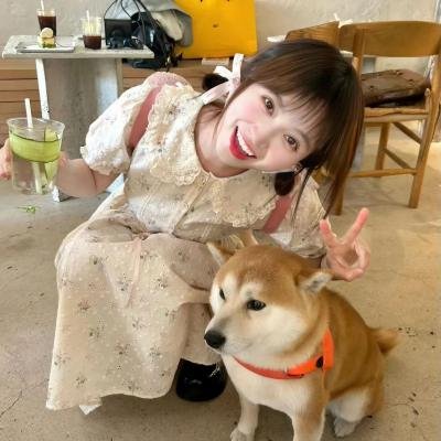伊渥克大冒险